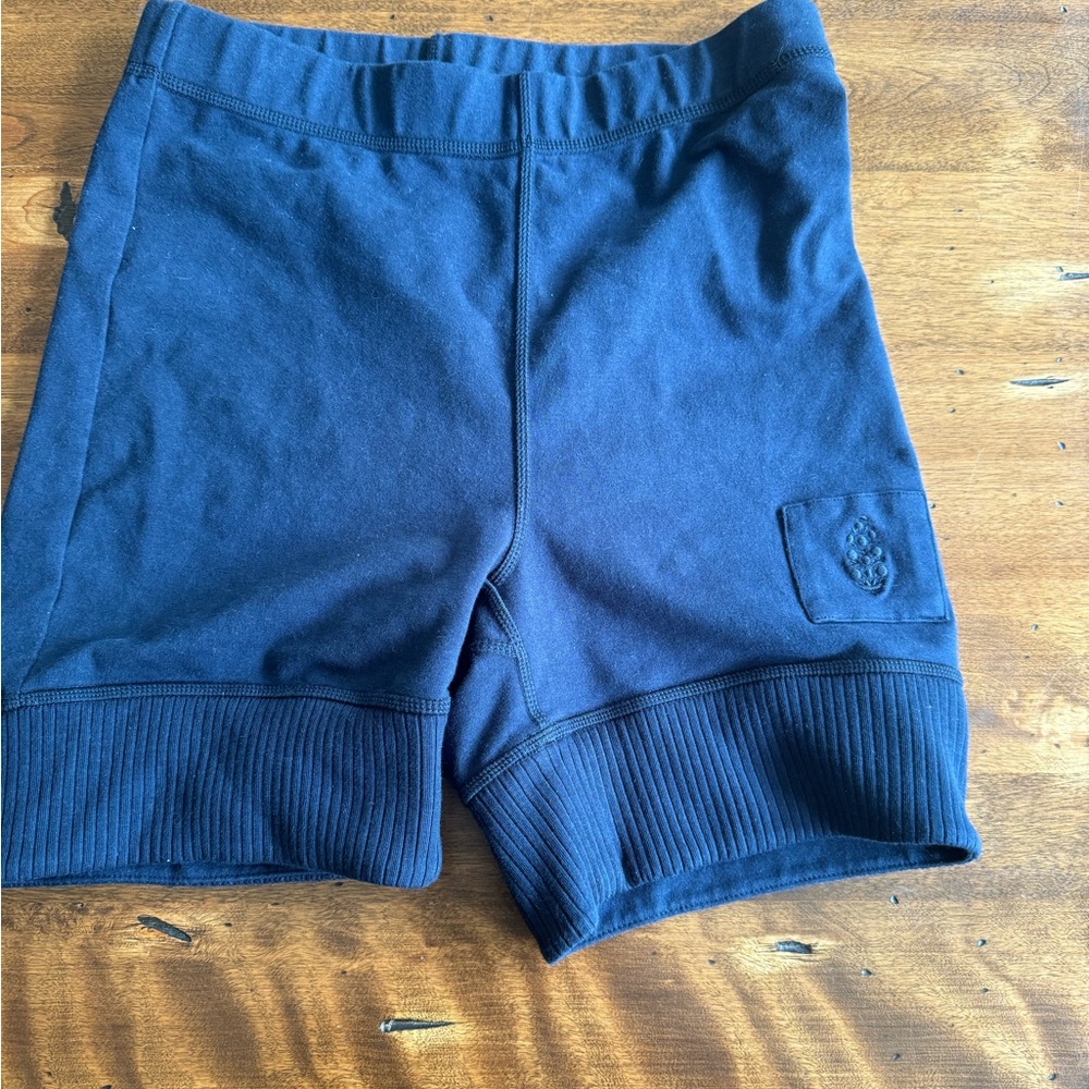 Navy Blue Casual Shorts